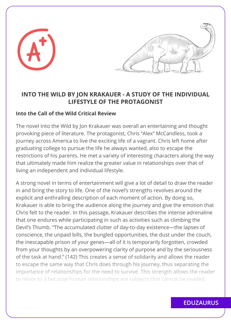 Into the Wild by Jon Krakauer – a Study of the Individual Lifestyle of the Protagonist