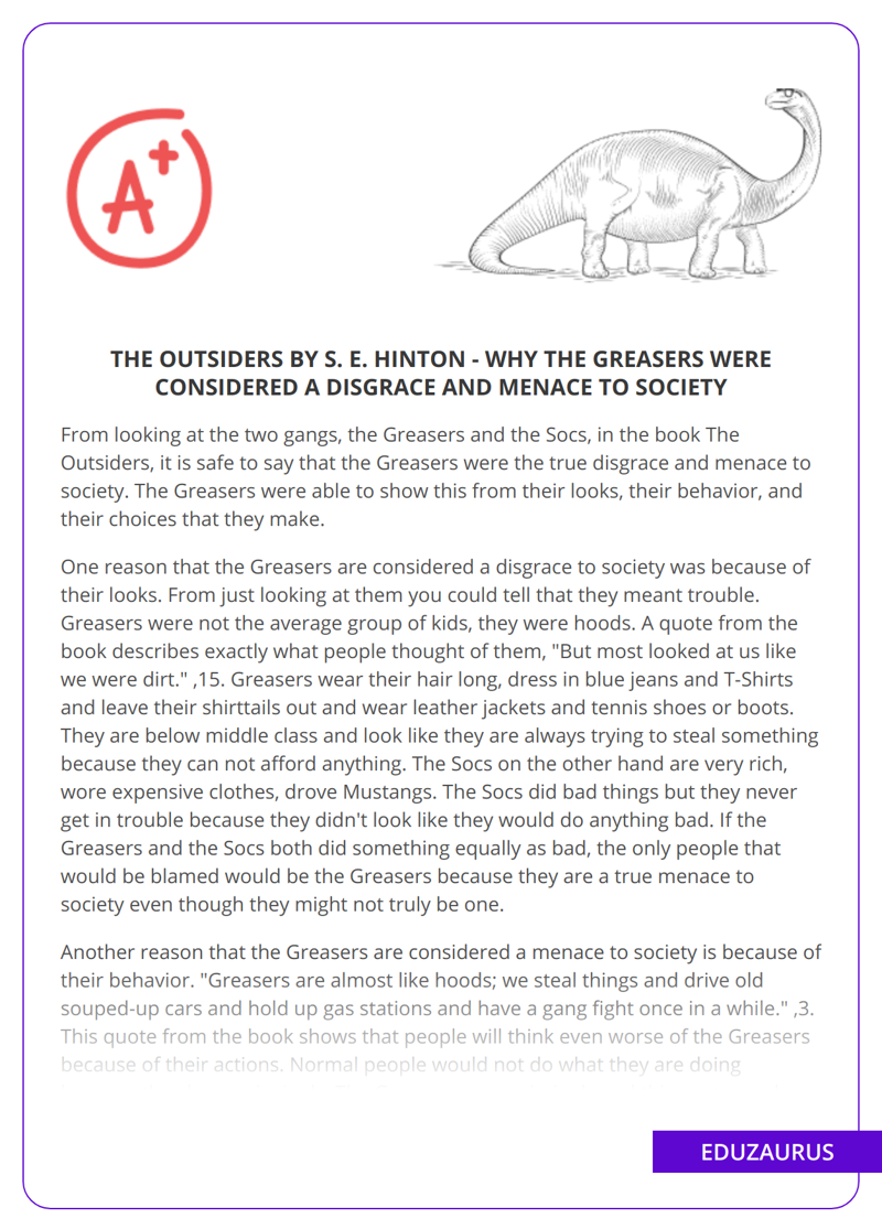 The Outsiders by S. E. Hinton – Why the Greasers Were Considered a Disgrace and Menace to Society