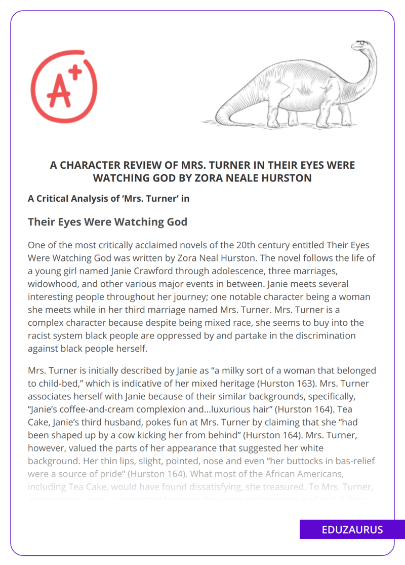 A Character Review of Mrs. Turner in Their Eyes Were Watching God by Zora Neale Hurston