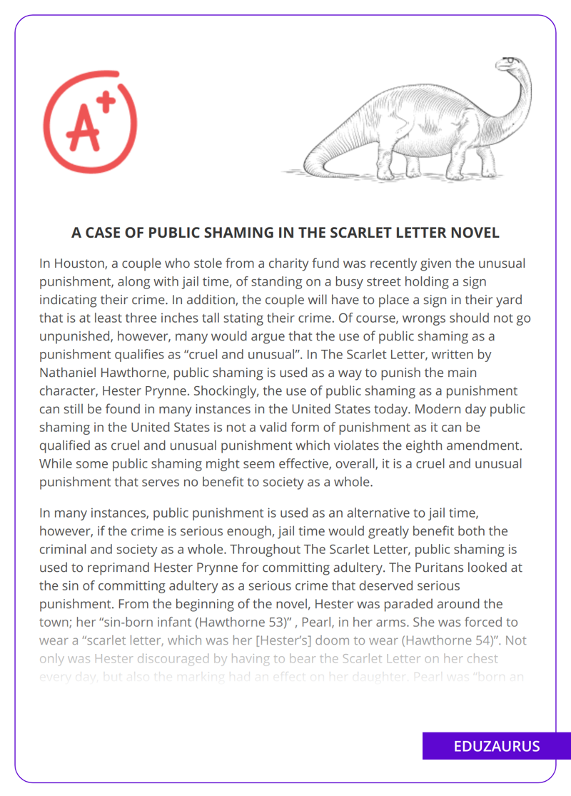 A Case Of Public Shaming in The Scarlet Letter Novel