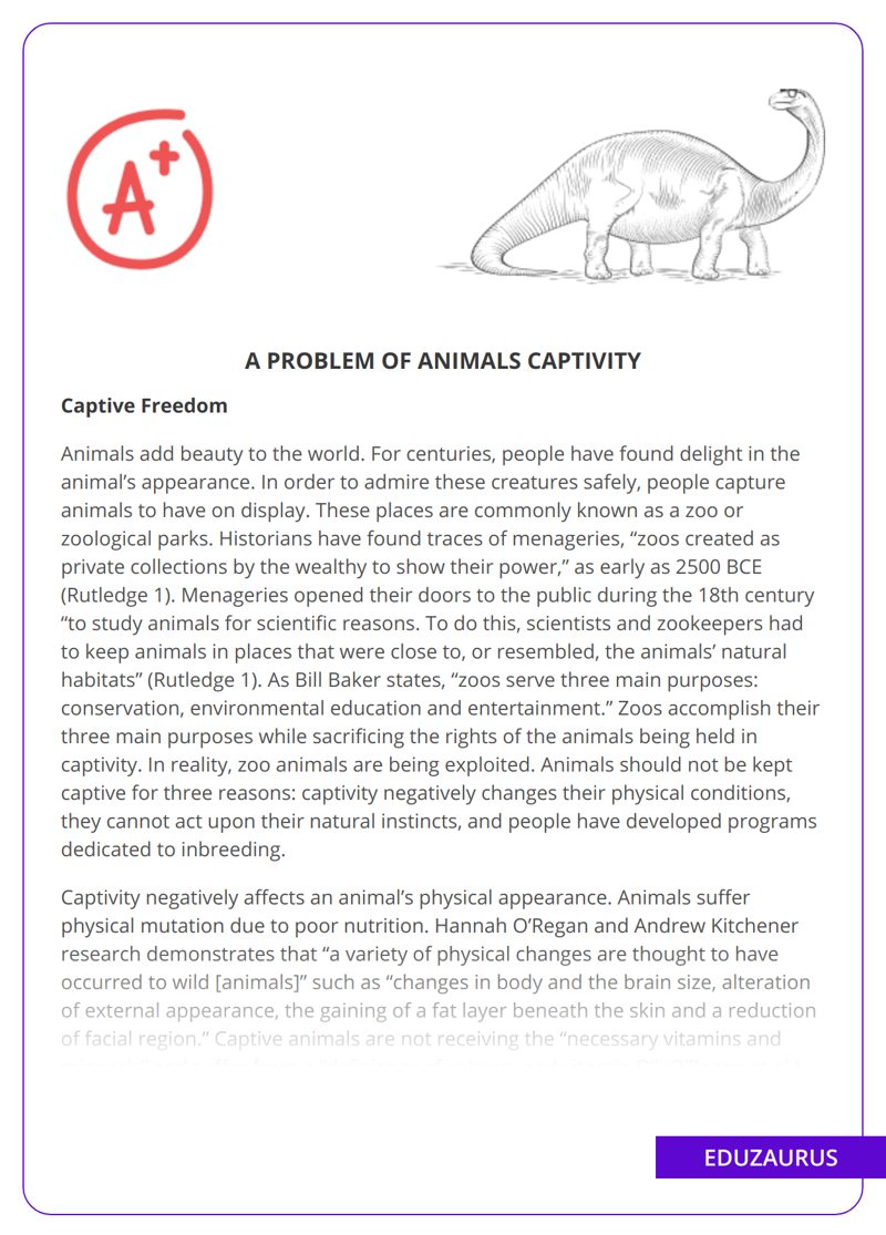 A Problem Of Animals Captivity - Free Essay Example | EduZaurus