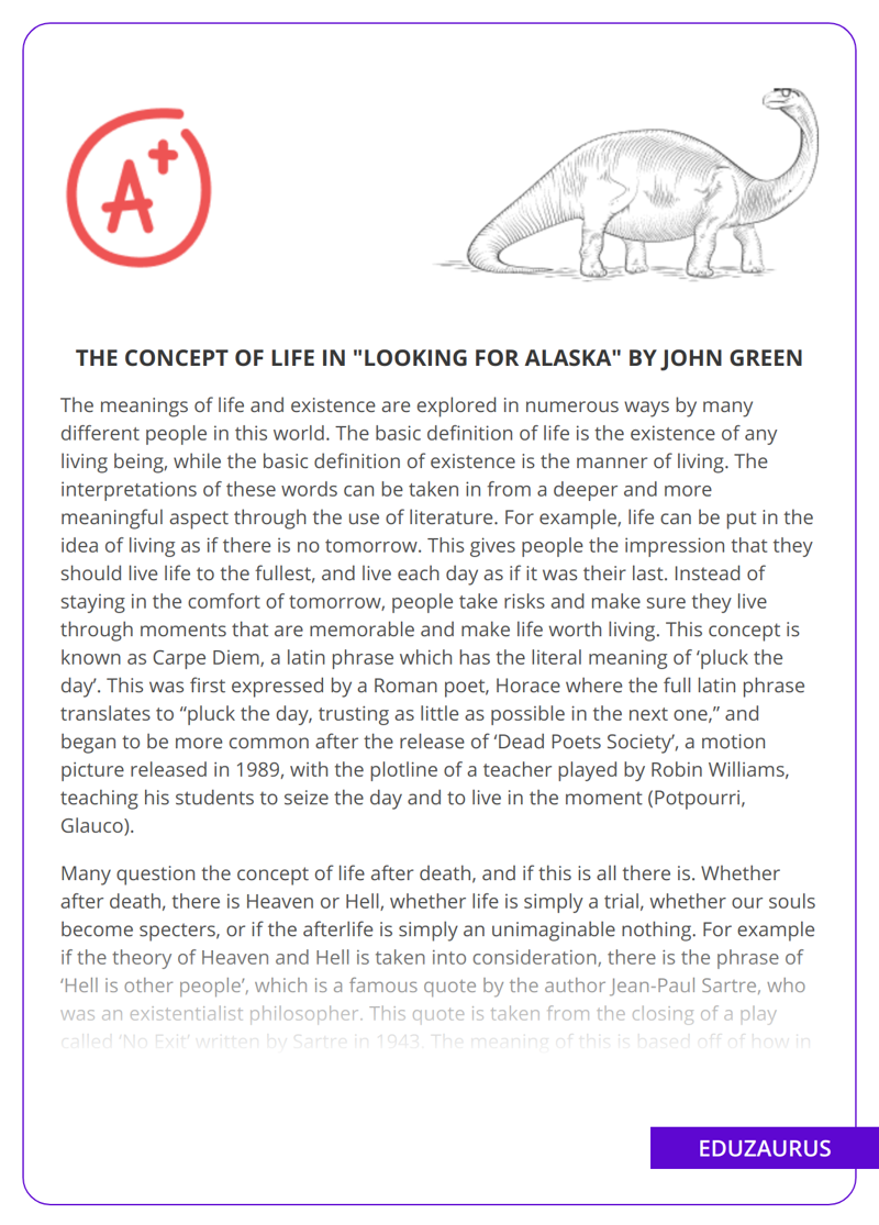The Concept Of Life in “Looking For Alaska” By John Green