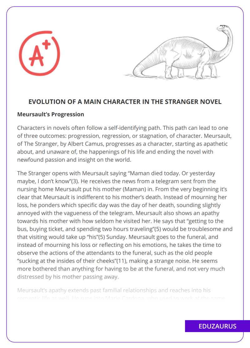Evolution Of a Main Character in The Stranger Novel
