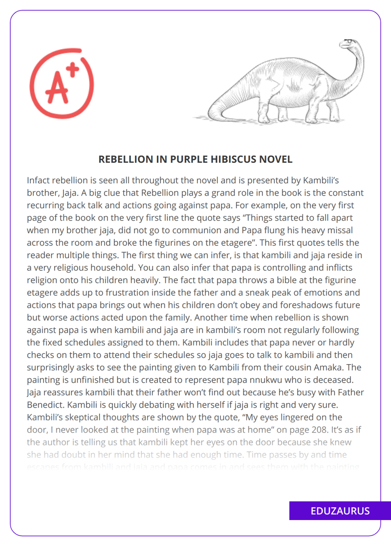 Rebellion in Purple Hibiscus Novel