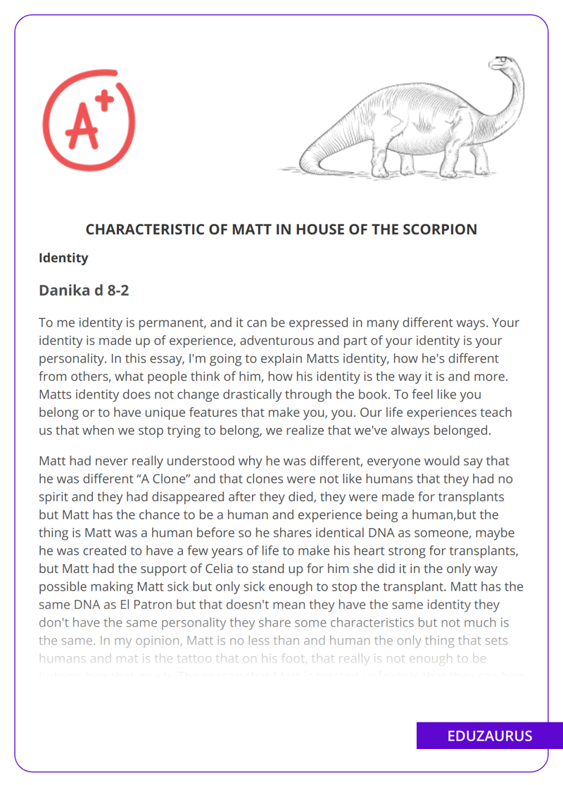 Characteristic Of Matt in House of The Scorpion