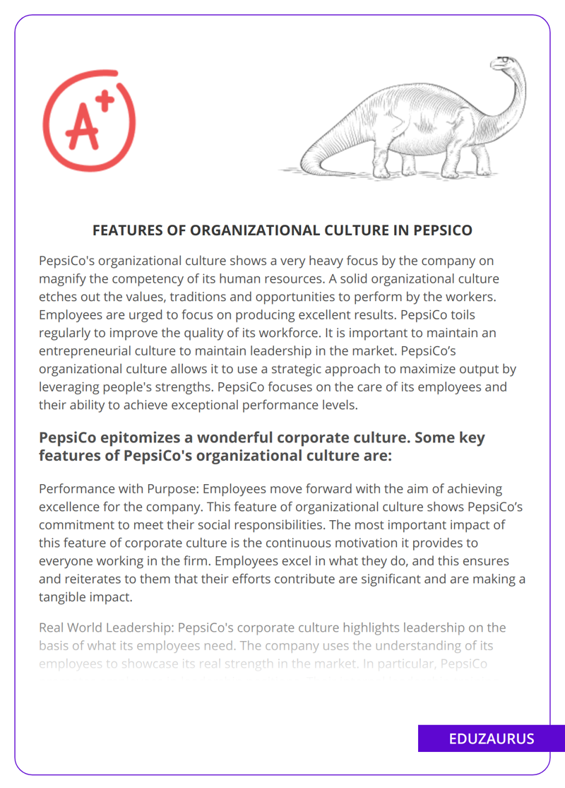Features Of Organizational Culture in PepsiCo