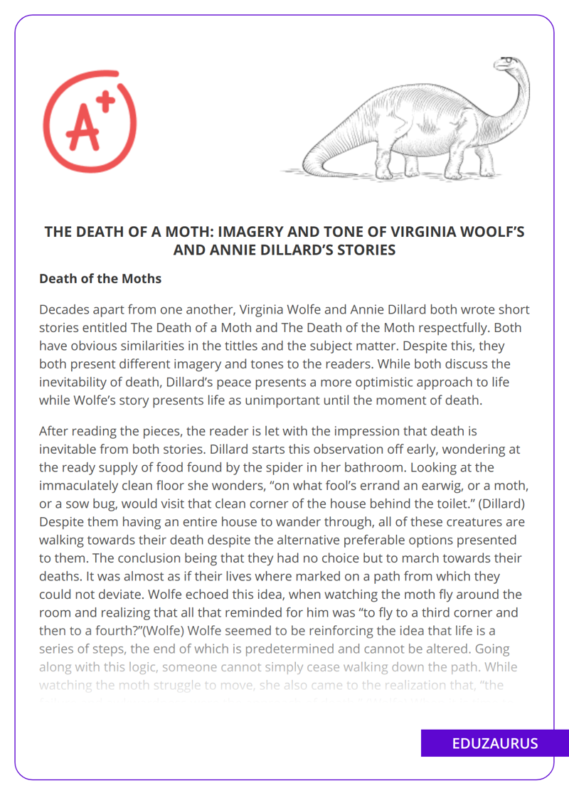 The Death of a Moth: Imagery and Tone of Virginia Woolf’s and Annie Dillard’s Stories