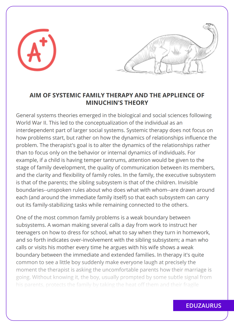 Aim Of Systemic Family Therapy And The Applience Of Minuchin’s Theory