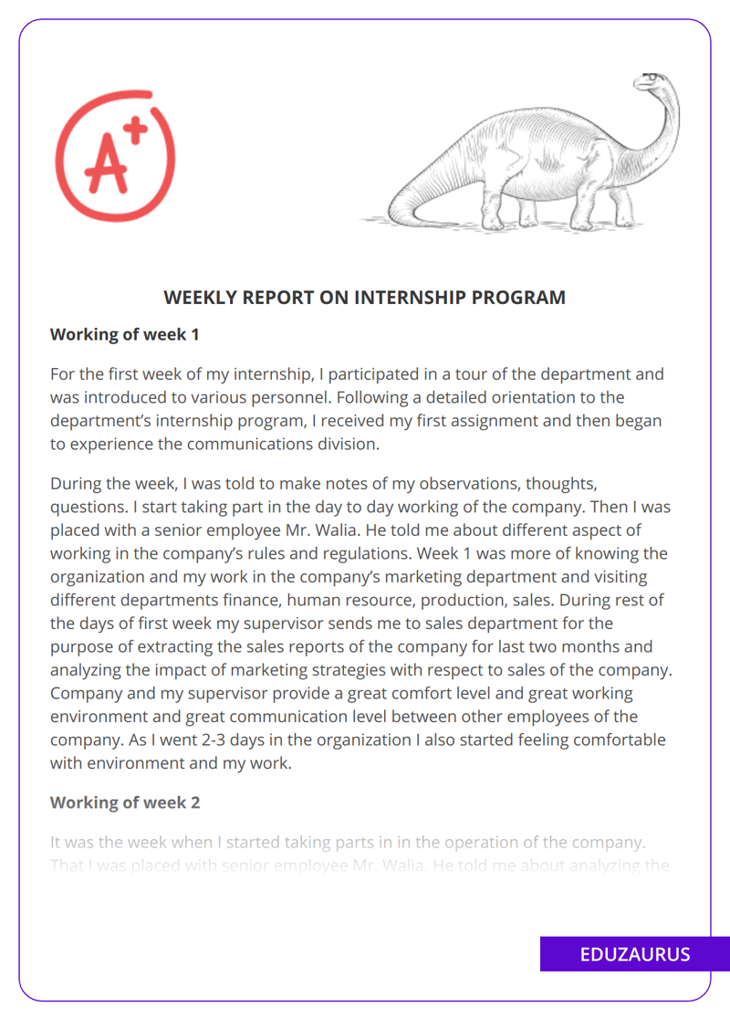 Weekly Report On Internship Program