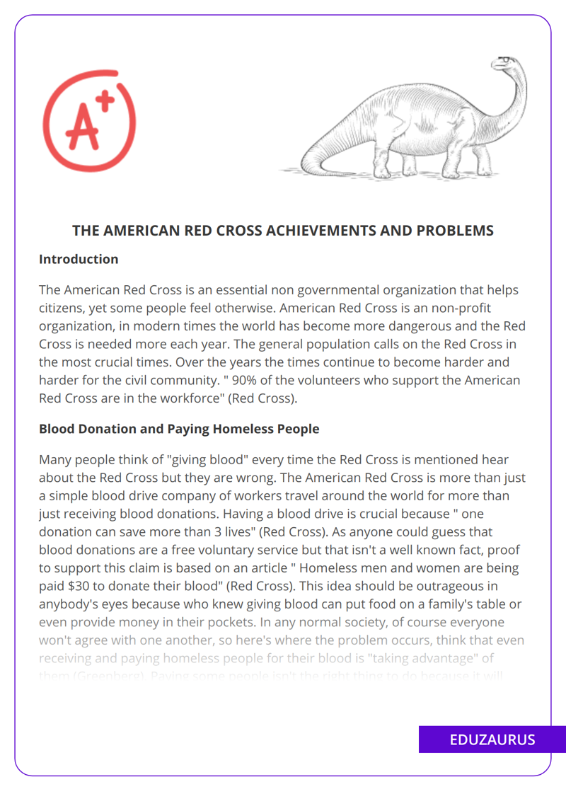 The American Red Cross Achievements And Problems