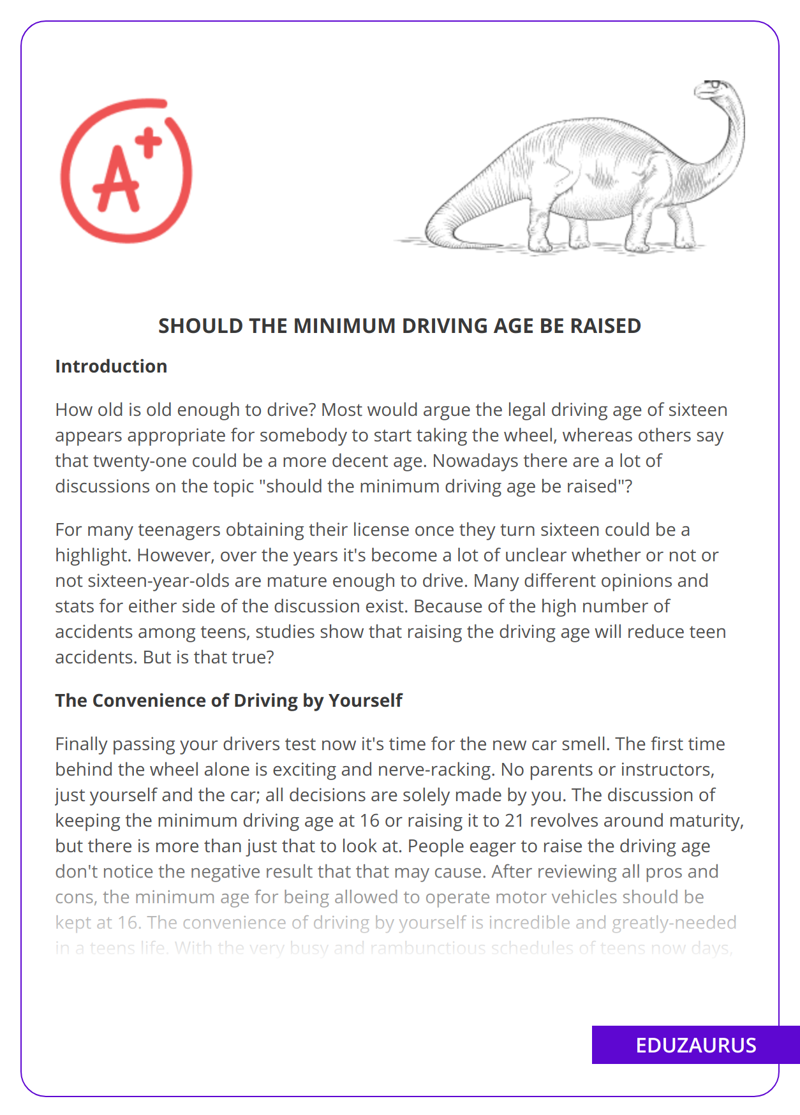Should The Minimum Driving Age Be Raised
