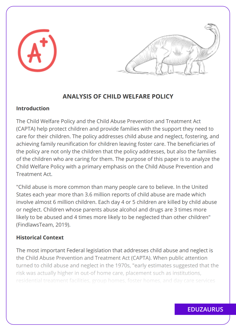Analysis Of Child Welfare Policy