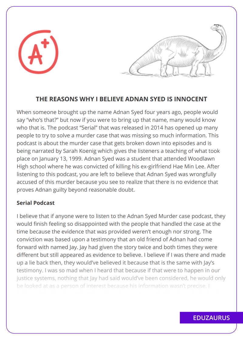 The Reasons Why I Believe Adnan Syed Is Innocent
