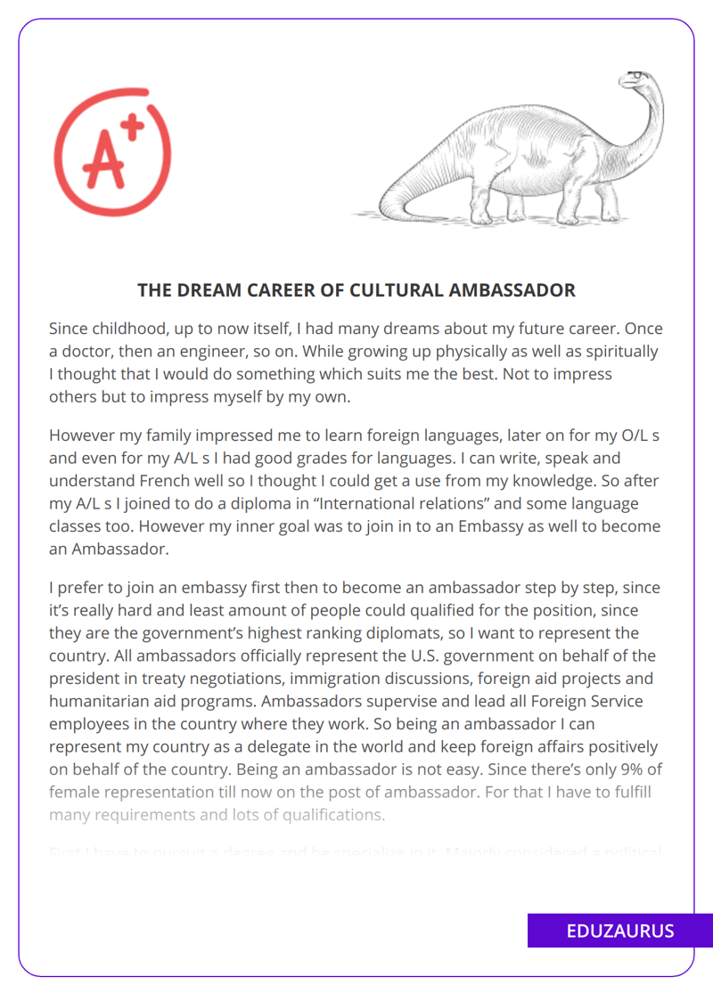 The Dream Career Of Cultural Ambassador