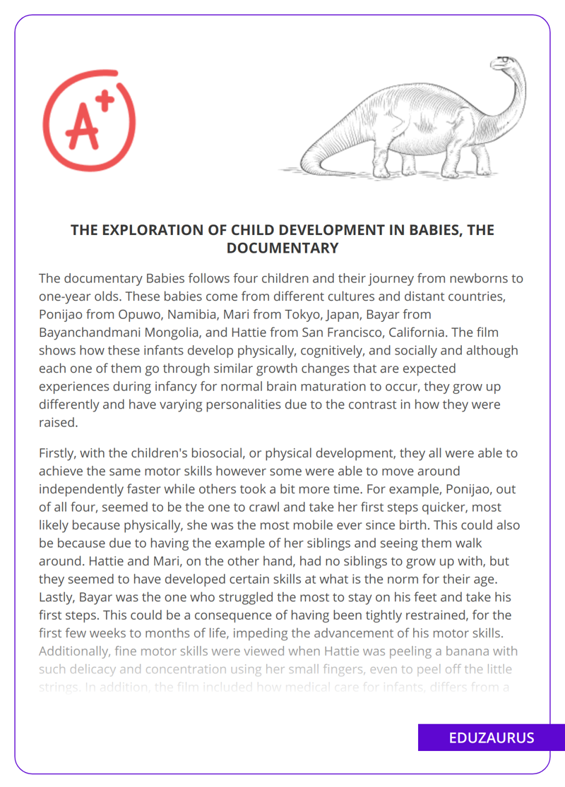 The Exploration Of Child Development In Babies, The Documentary