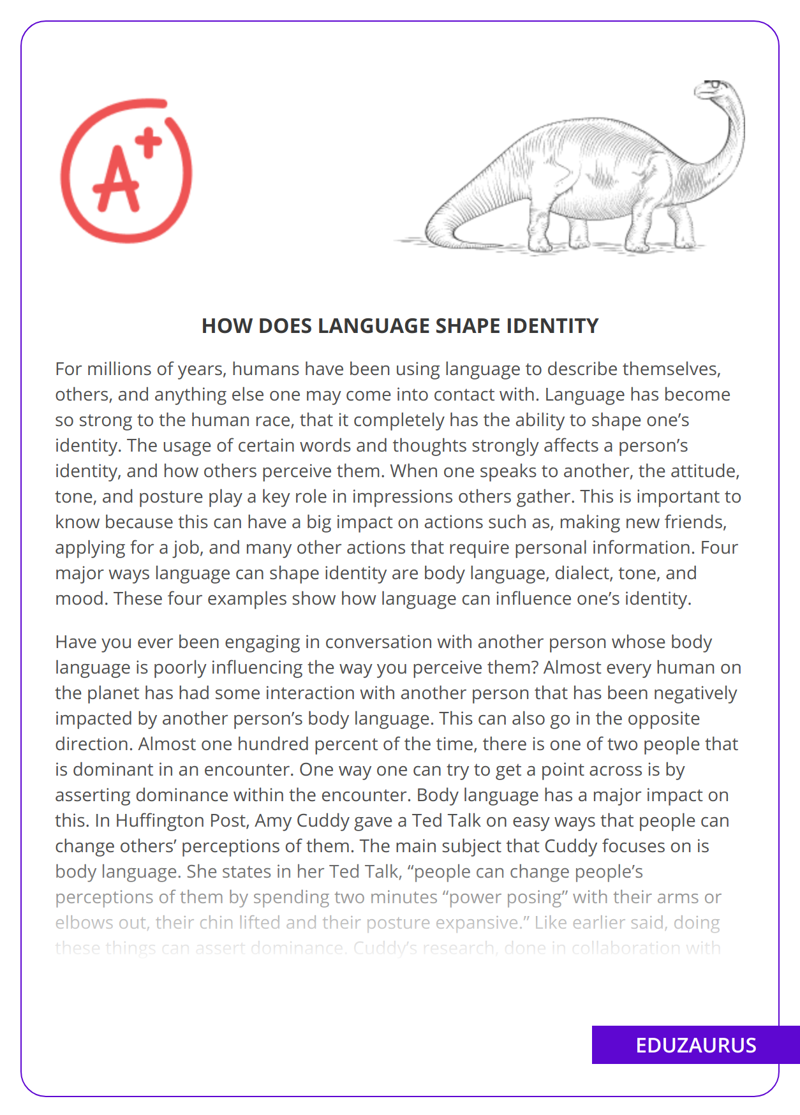 How Does Language Shape Identity