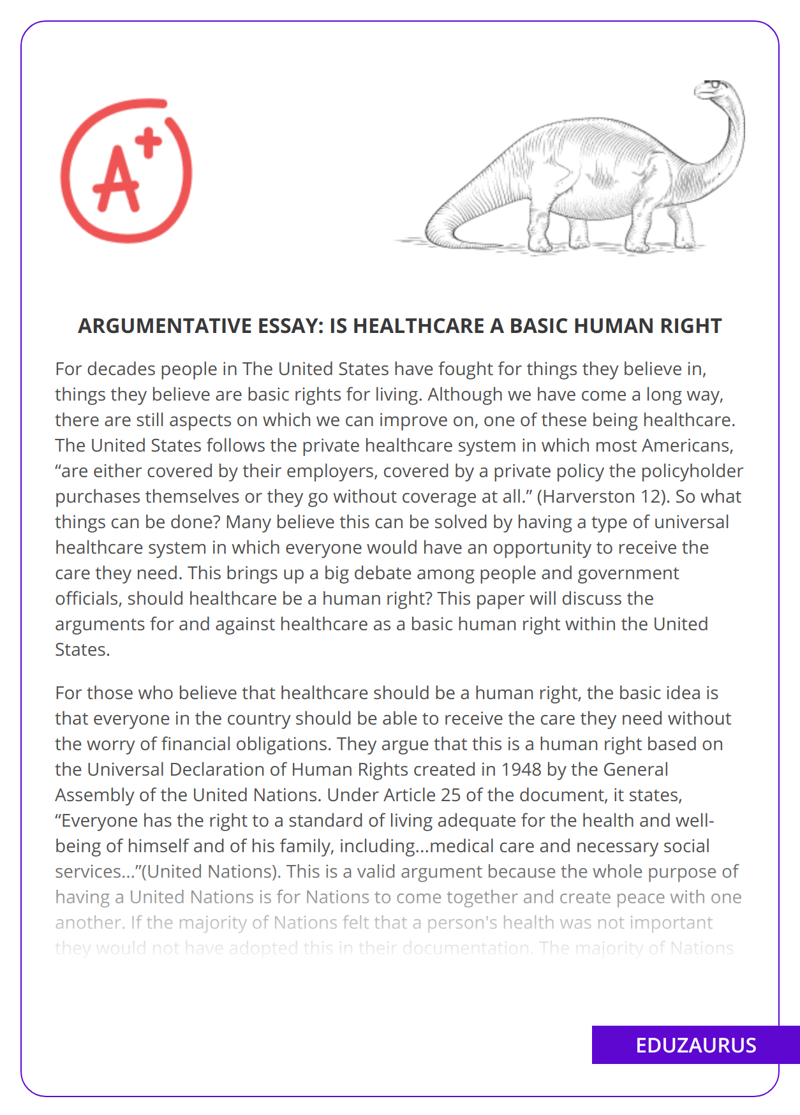 Argumentative Essay: Is Healthcare a Basic Human Right