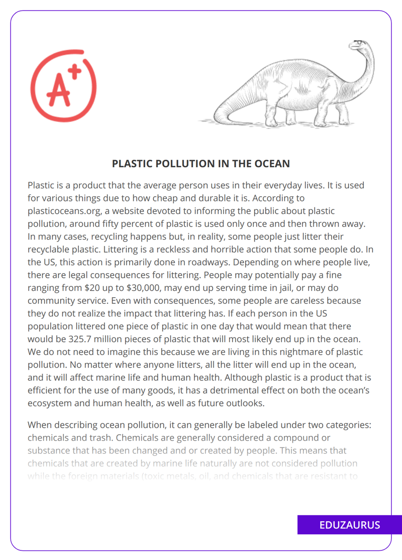 Plastic Pollution In The Ocean